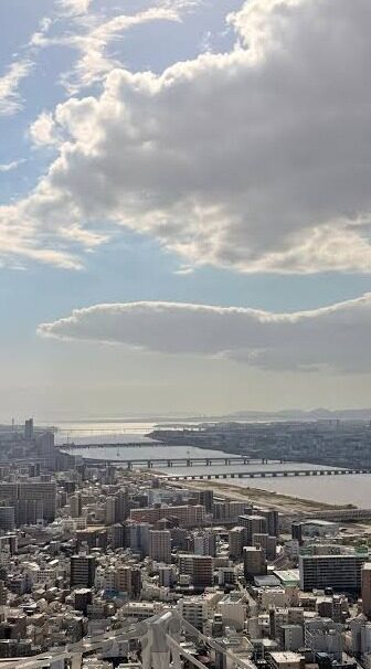 江苏苏宁足球比分-江苏苏宁足球比分，赛场风云中的荣耀与遗憾
